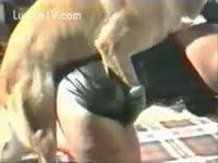 Leather sweetheart making out with her dog